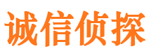 嘉黎市婚外情调查